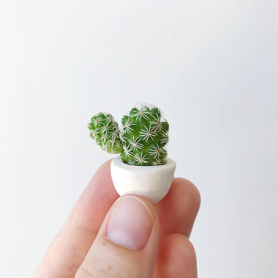 Thor, the strongest small cactus